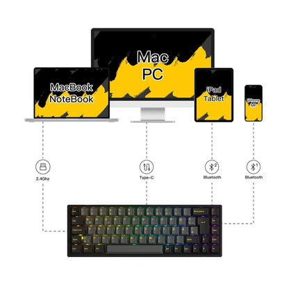 Akko 3068B Plus Black & Gold 65% ISO-DE Layout Mechanical Gaming Keyboard Hot-swapple Multi-Modes 2.4GHz /USB Type-C/BT 5.0